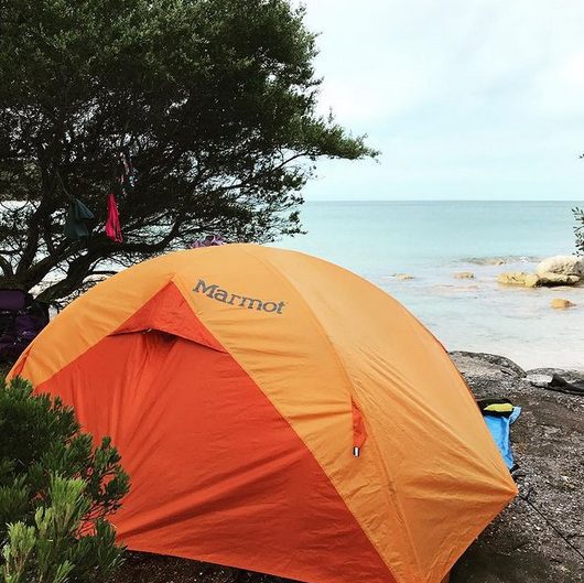 An orange tent pitched on a rock next to a large tree and the ocean.