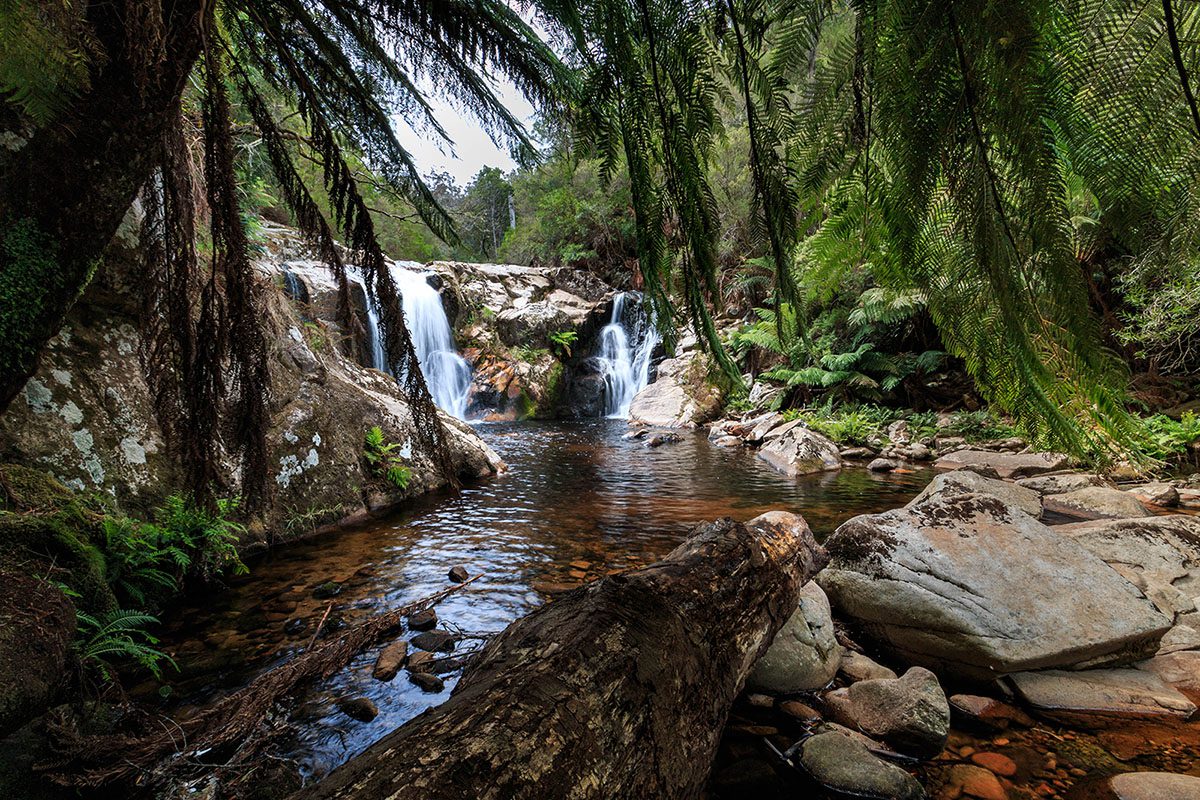 tourism tasmania images