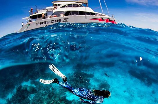 Passions of Paradise snorkeling trip via Jess Minns