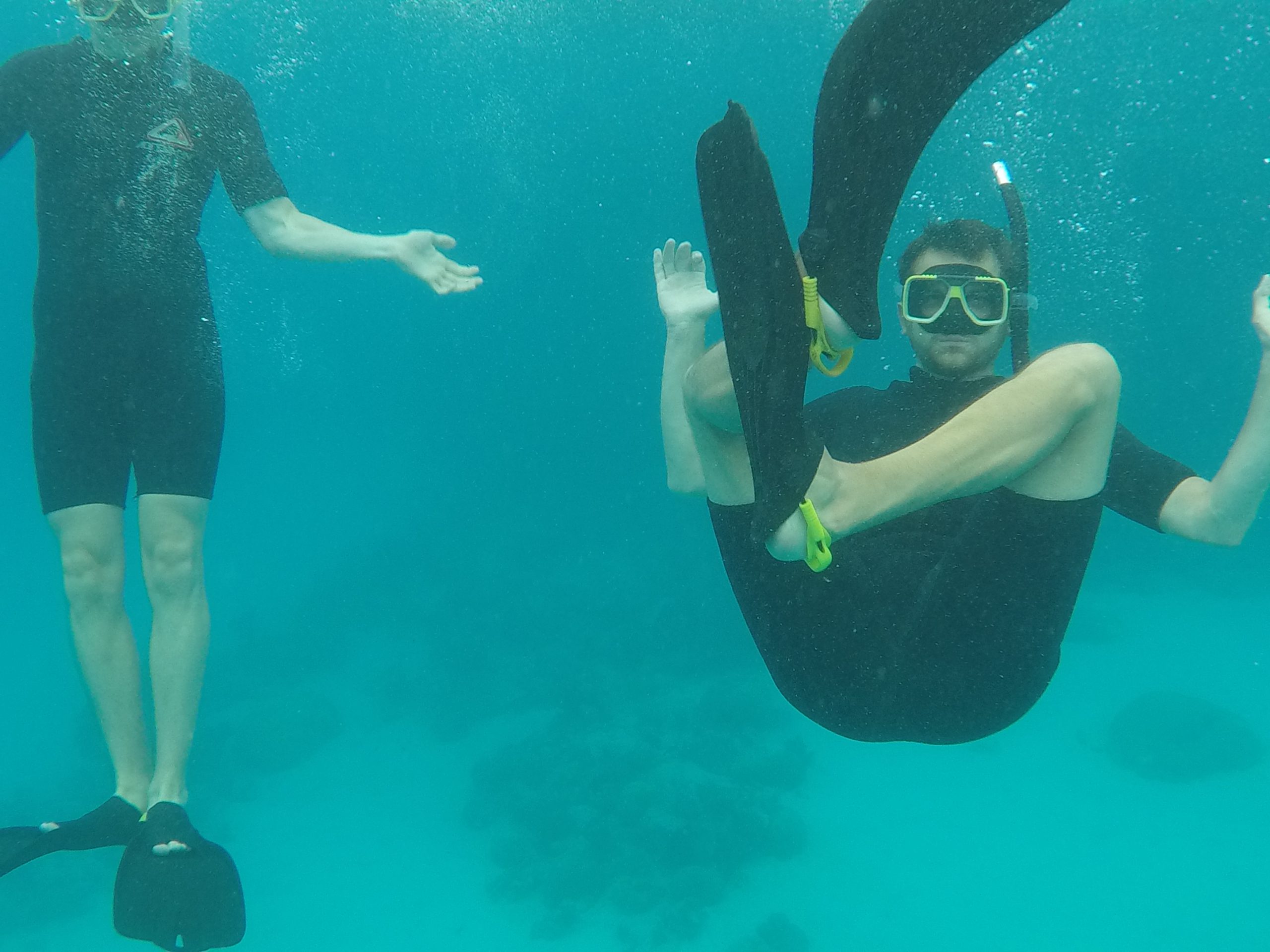 Snorkeling at the Great Barrier Reef with Passions of Paradise