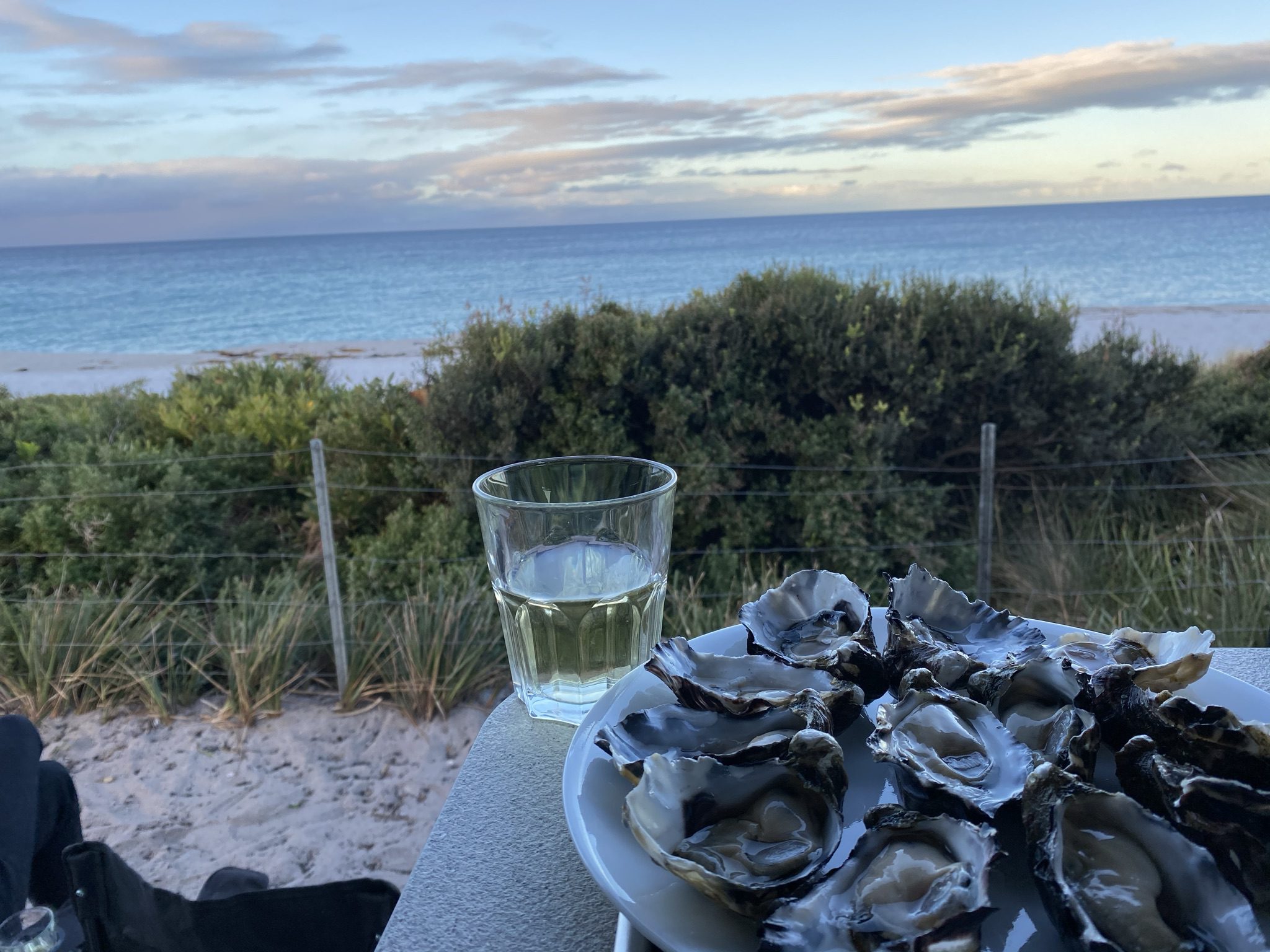 A plate of shucked oysters and a tumbler of white wine on a surface overlooking a sandy beach with bushes in front of the water.