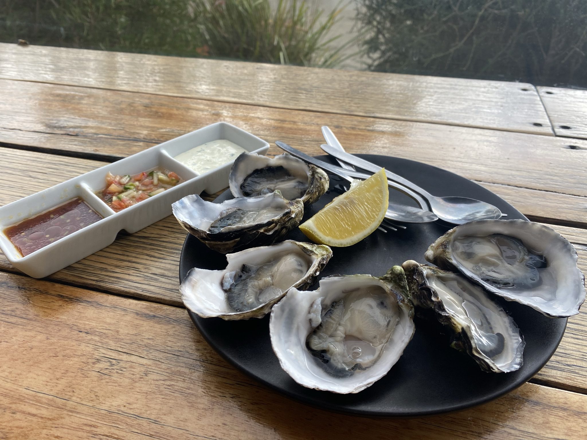 Oysters at Get Shucked Oyster Bar on Bruny Island