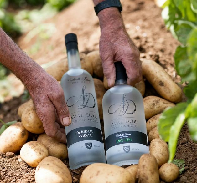 Using potatoes to make vodka and gin Colwith Farm Distillery