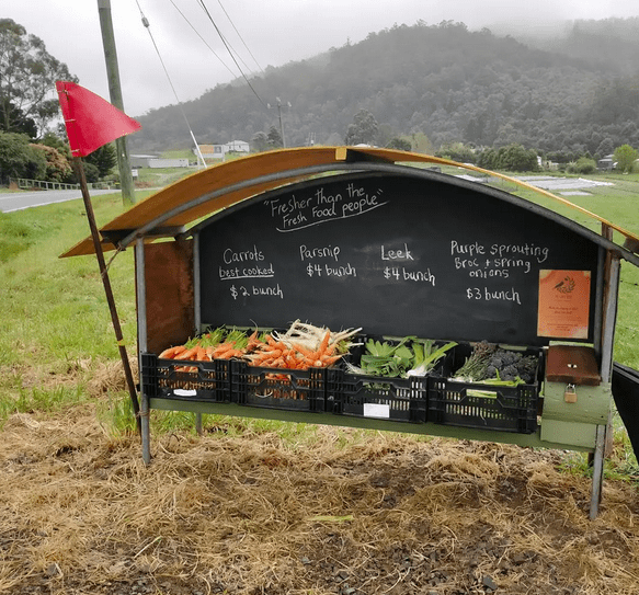 Roadside organic veggies in Cygnet  Early Bird Farm