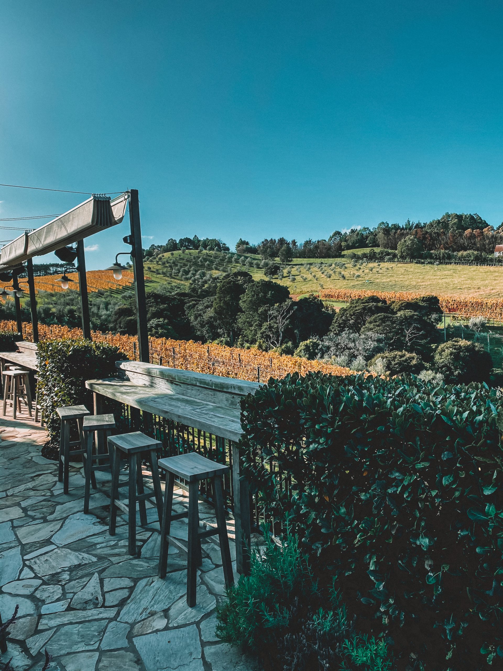 An outdoor stone patio with wooden stools and a high table overlooking a green vineyard surrounded by trees and bushes.