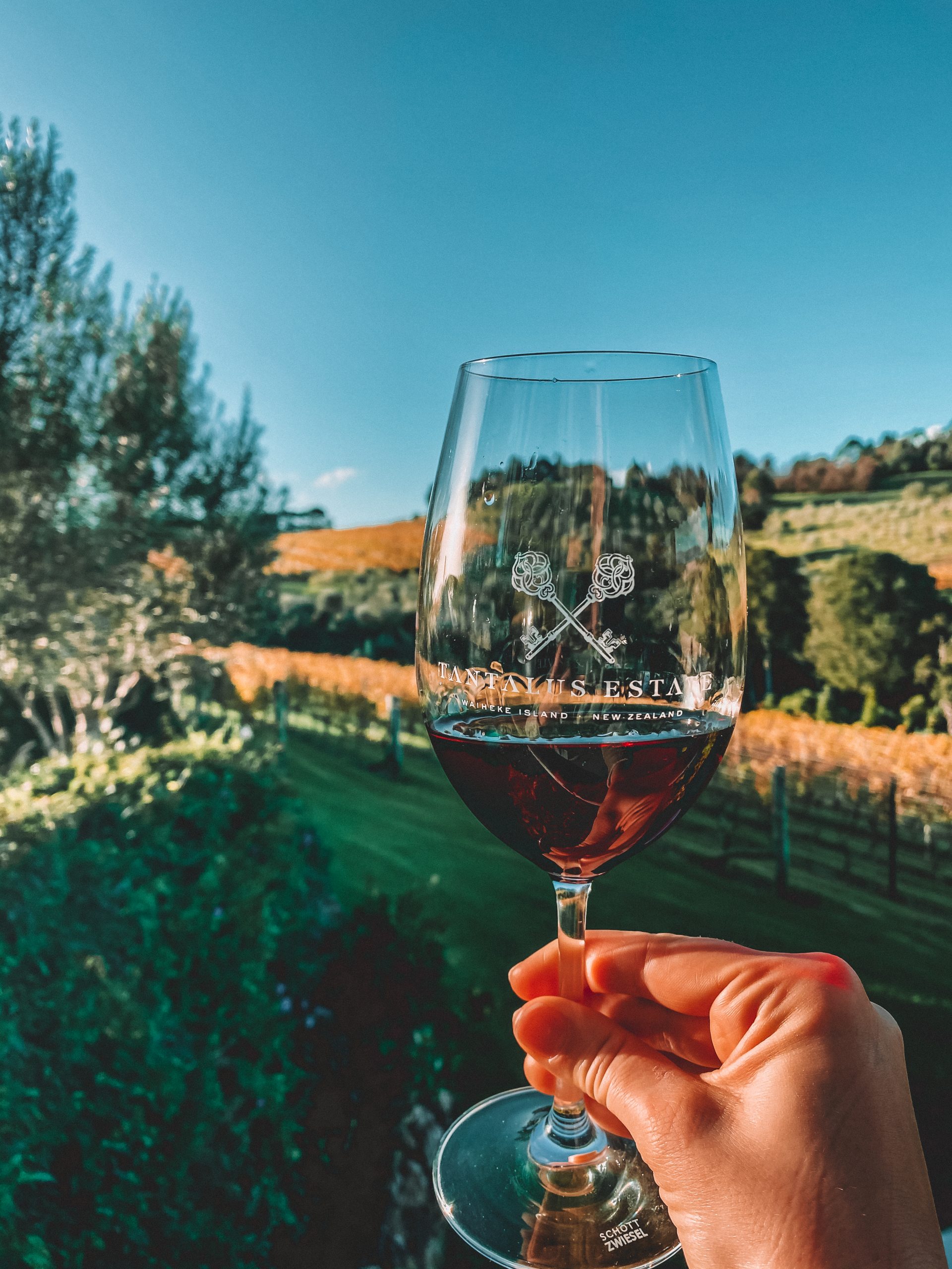 A hand holding a wine glass with a small amount of red wine inside it overlooking a green vineyard with bushes, trees and vines.