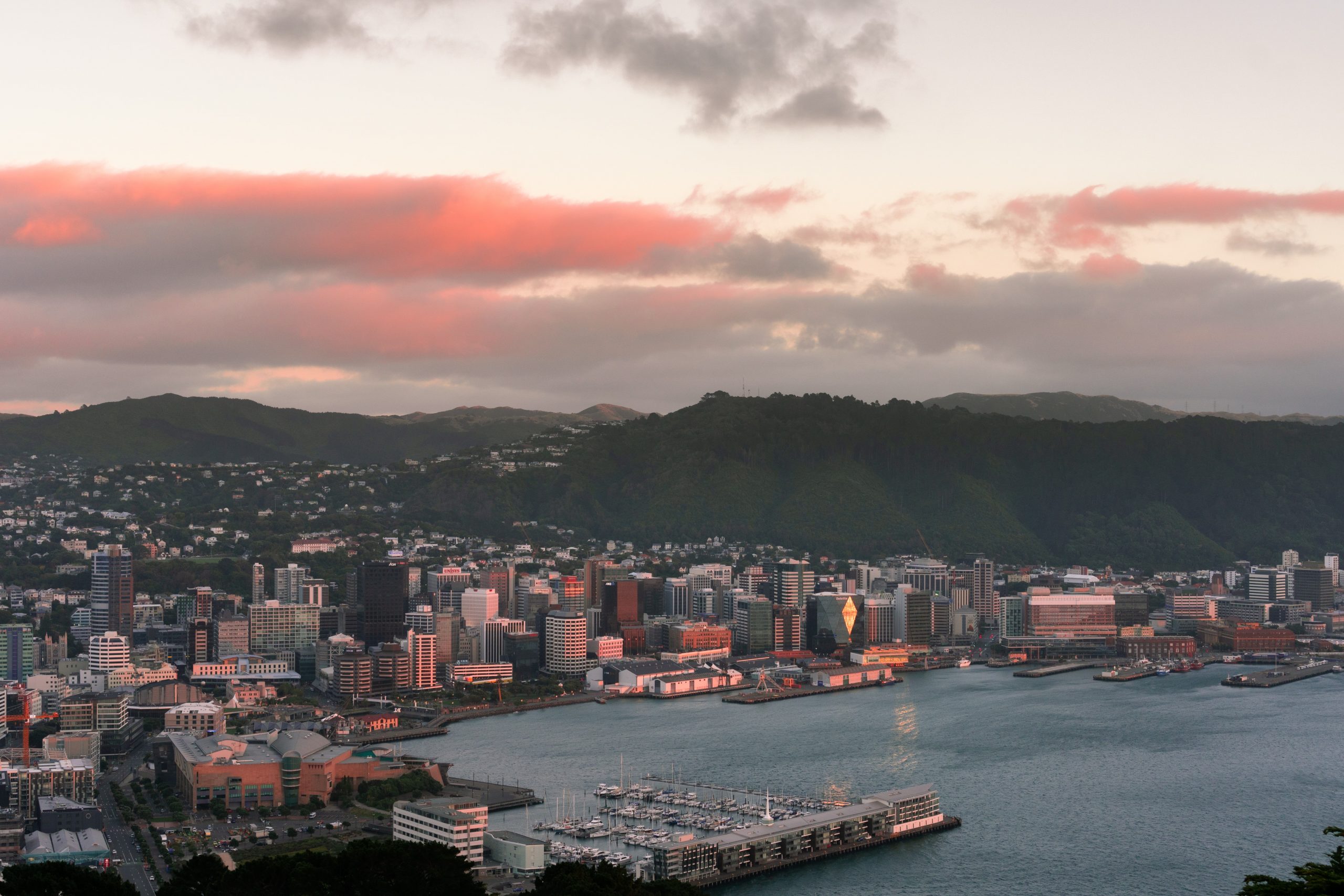 A vantage point overlooking a waterfront city at sunset with a marina, high rise buildings and green mountains in the backdrop.