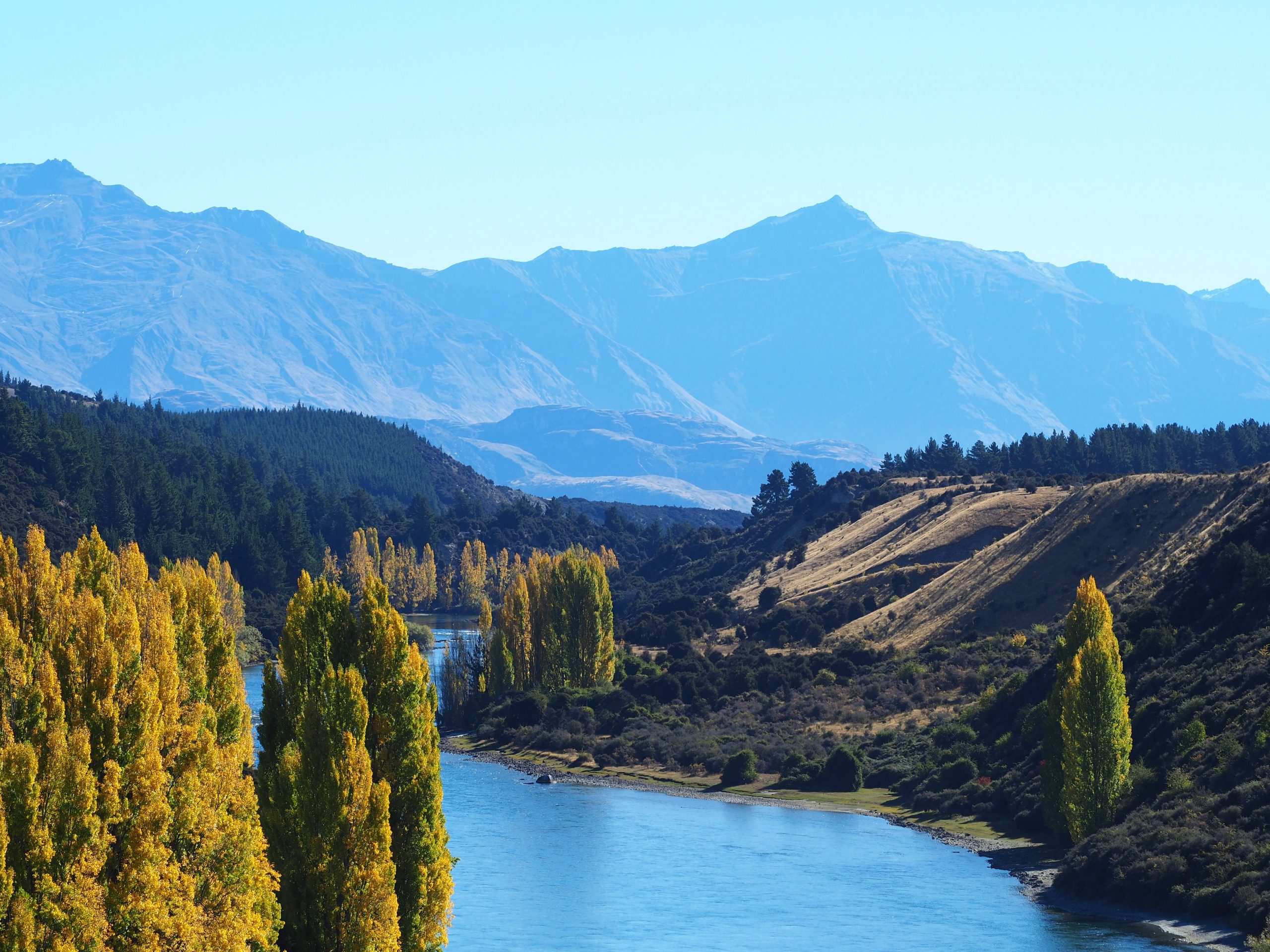 A river running between tree-lined riverbanks with mountains in the backdrop.