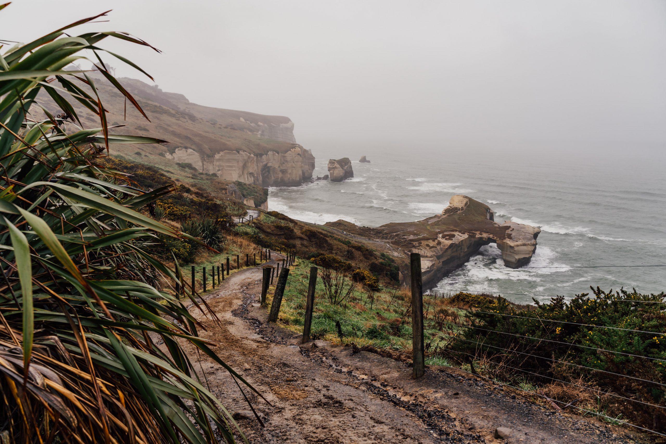 A muddy path leading downhill to a misty bay with a natural rocky arch stretching into the boisterous ocean.