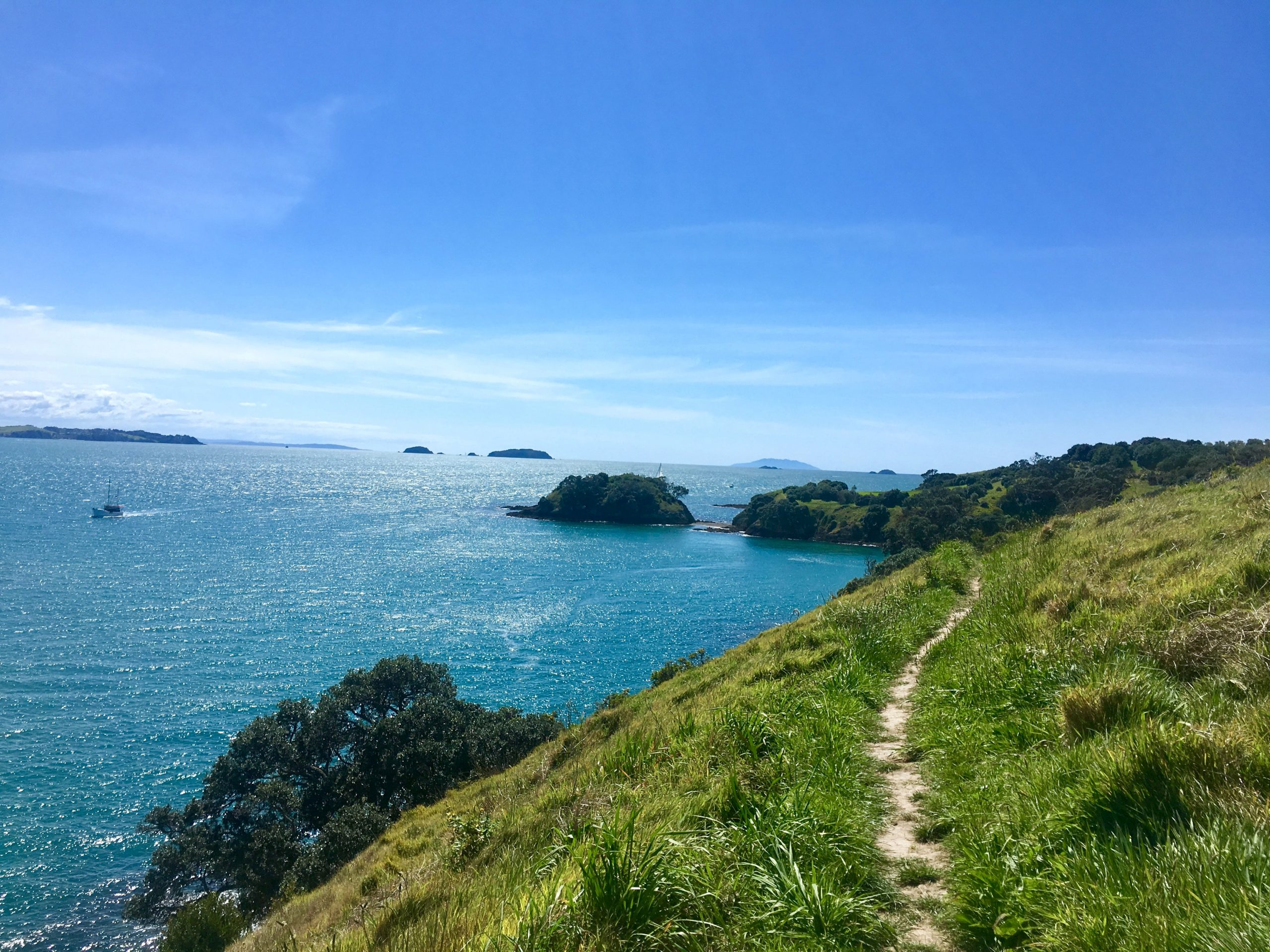 A grassy path on a headland with blue ocean and small islands dotted to the left.