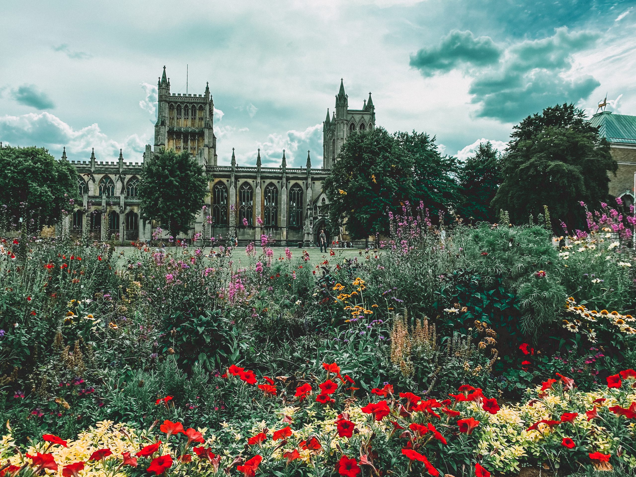 Colourful sring flowers in front of a gothic cathedral