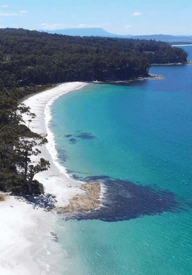 An aerial shot of a curved inlet with white sand, blue water, rocks and lush forest behind the beach.