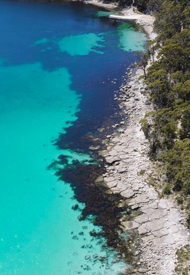 An aerial shot of a rocky beach with bright blue clear water and darker sections with rocks and seaweed, with trees on the edge of the beach.