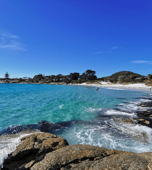 A bay with gentle waves and clear blue water with headland and trees in the backdrop.